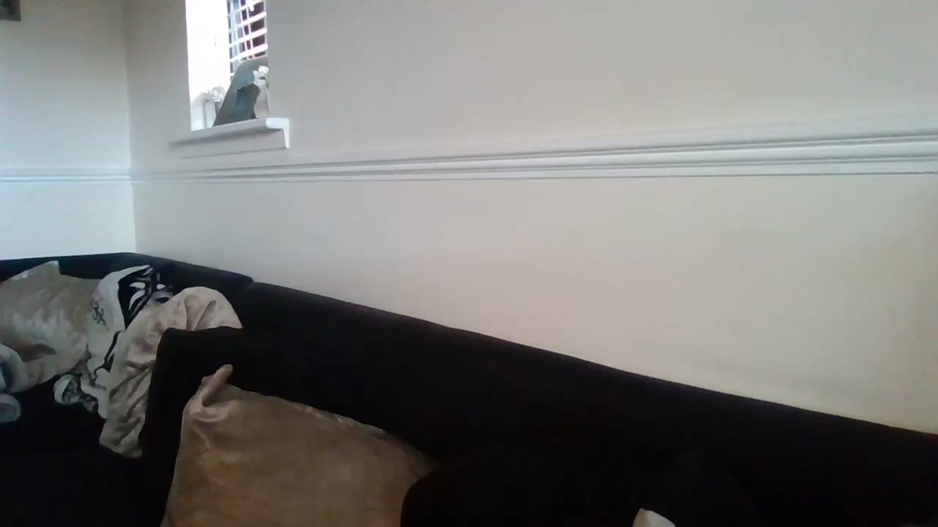 Gallery image thumbnail from Destx1's myfreecams stream on, 10/29/2024, 12:15 image 6 of 20