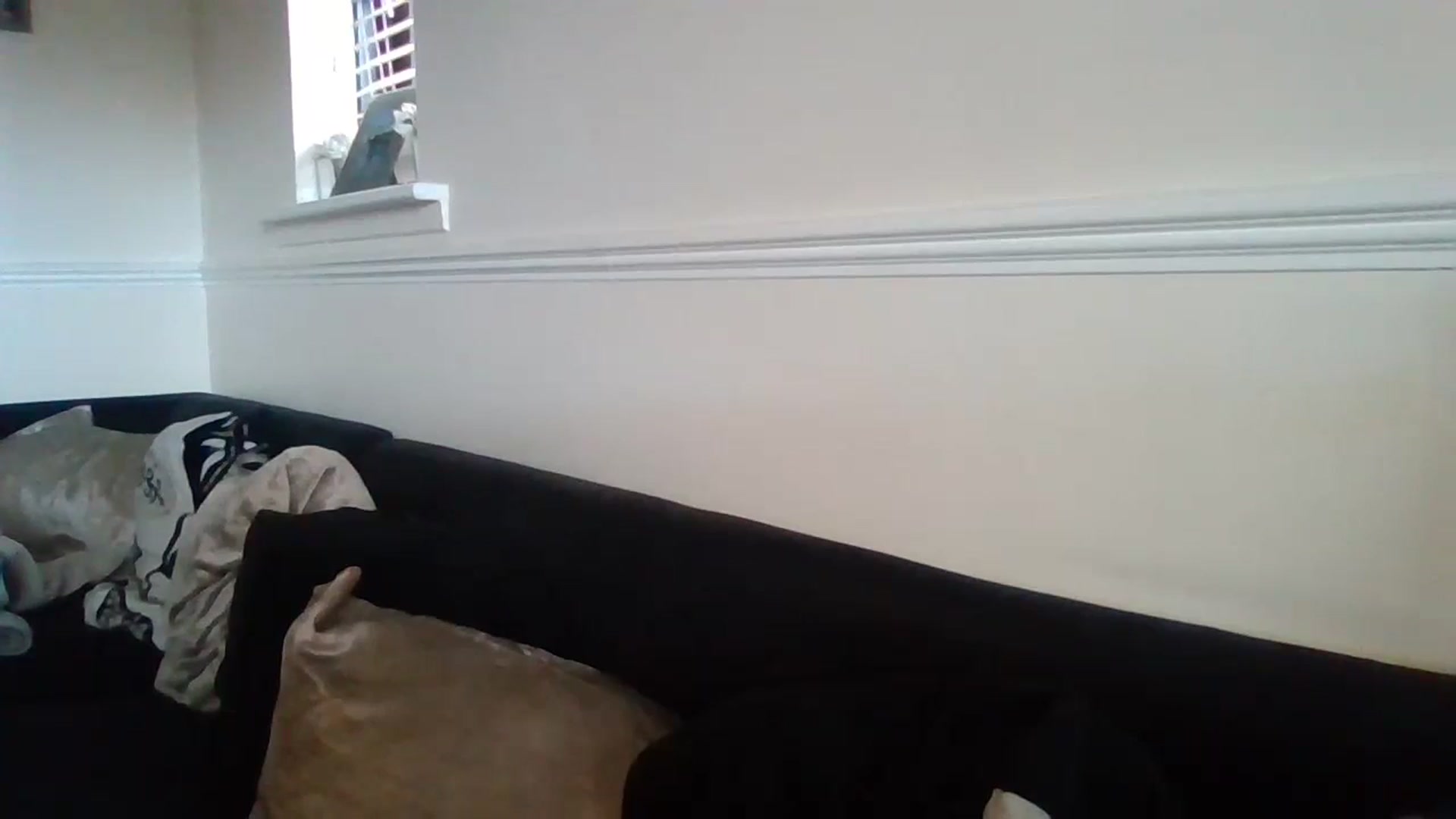 Gallery image thumbnail from Destx1's myfreecams stream on, 10/29/2024, 12:15 image 7 of 20