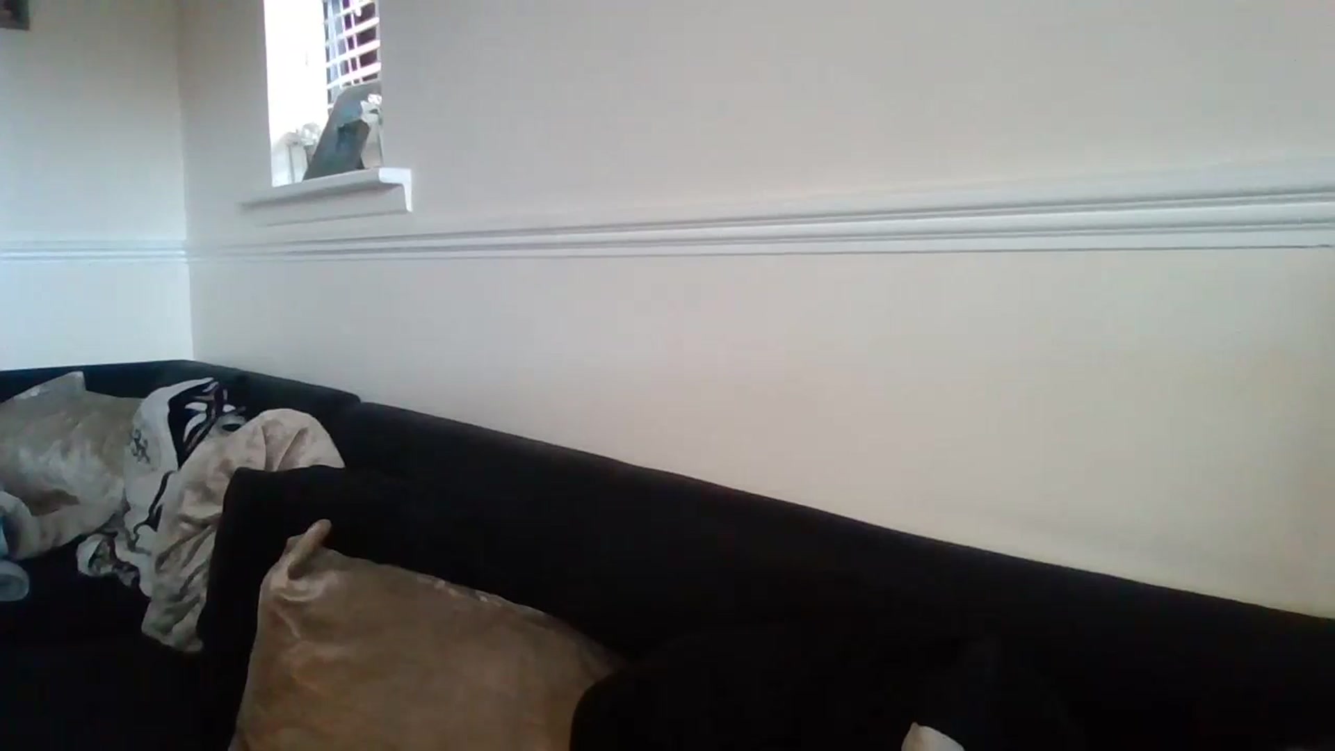 Gallery image thumbnail from Destx1's myfreecams stream on, 10/29/2024, 12:15 image 8 of 20