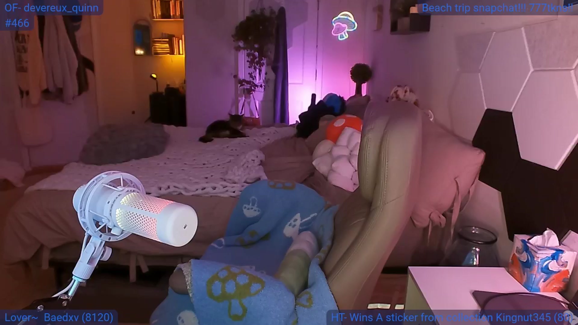 Gallery image thumbnail from DevereuxQ's myfreecams stream on, 06/11/2024, 06:16 image 14 of 20