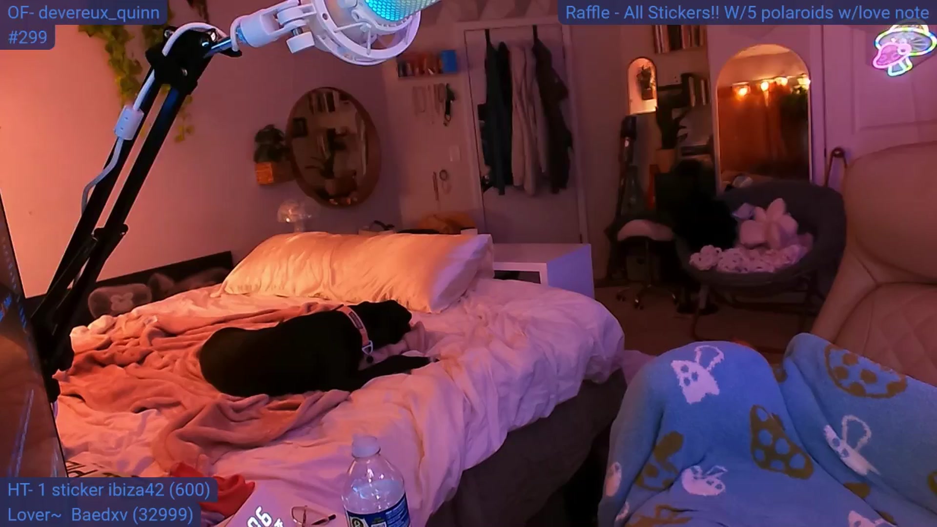 Gallery image thumbnail from DevereuxQ's myfreecams stream on, 06/28/2024, 05:20 image 18 of 20