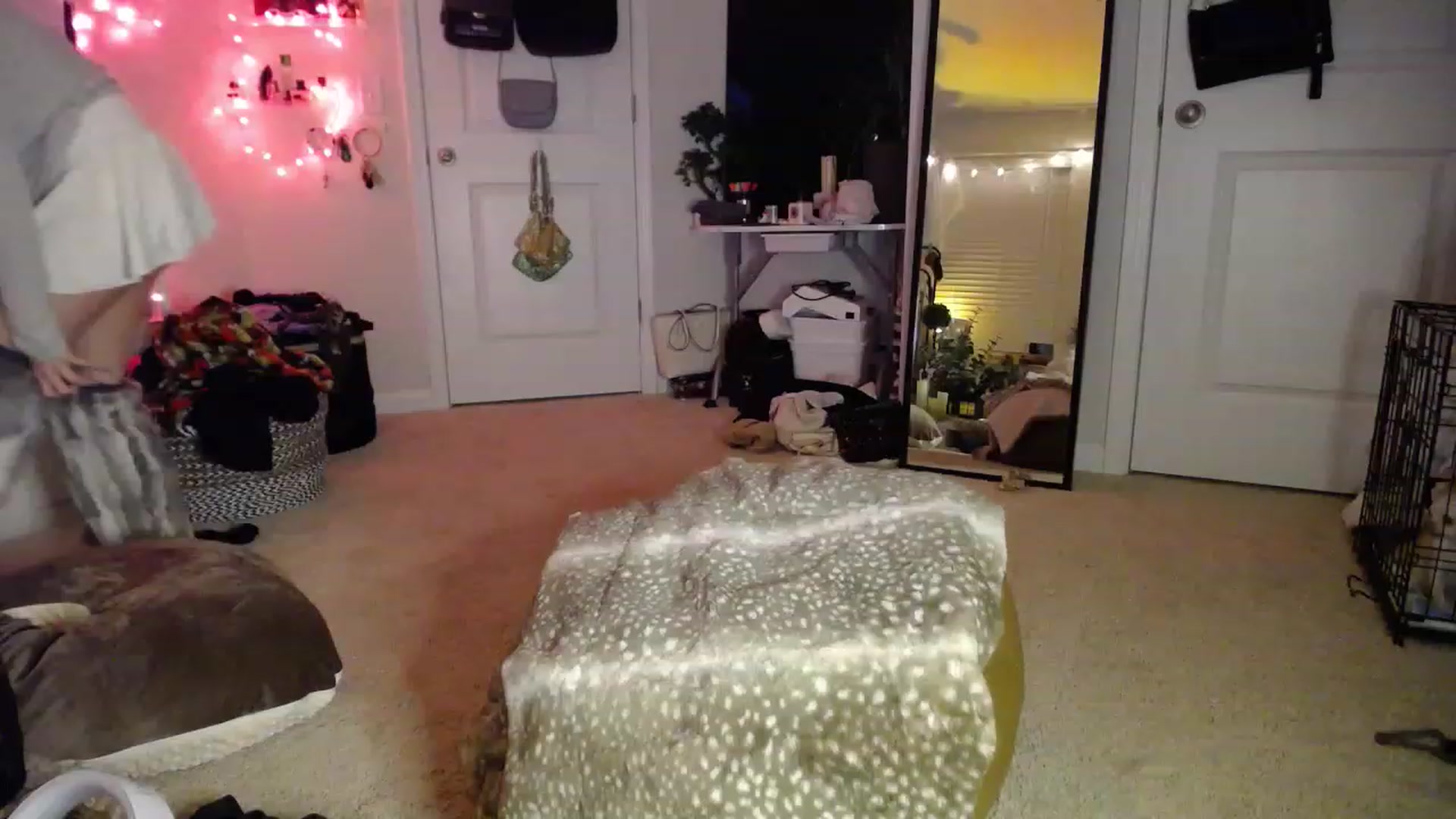 Gallery image thumbnail from Devereuxquinn's myfreecams stream on, 01/15/2023, 04:56 image 1 of 20