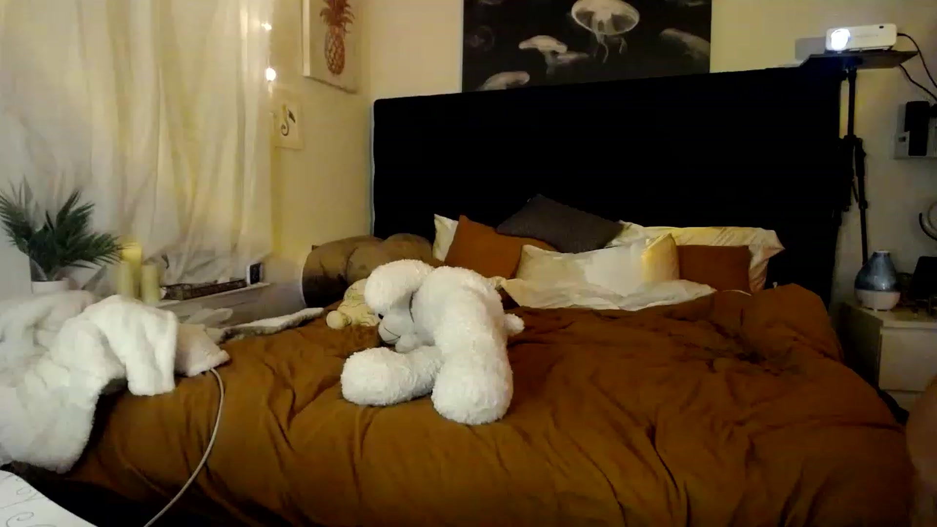 Gallery image thumbnail from Devereuxquinn's myfreecams stream on, 02/16/2023, 05:59 image 12 of 20