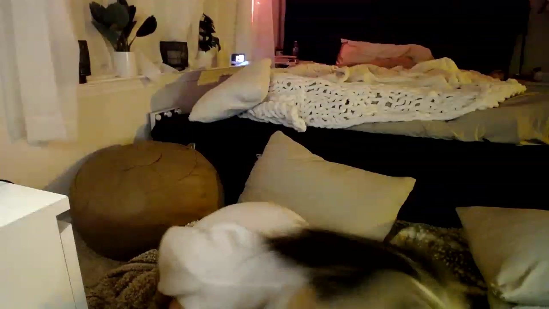 Gallery image thumbnail from Devereuxquinn's myfreecams stream on, 03/11/2023, 07:16 image 14 of 20