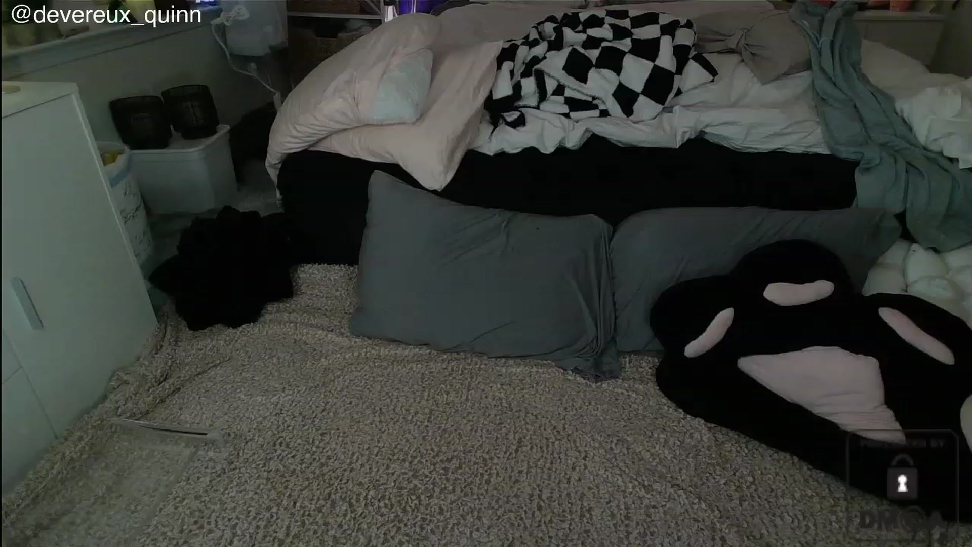 Gallery image thumbnail from Devereuxquinn's myfreecams stream on, 07/22/2023, 09:16 image 11 of 20