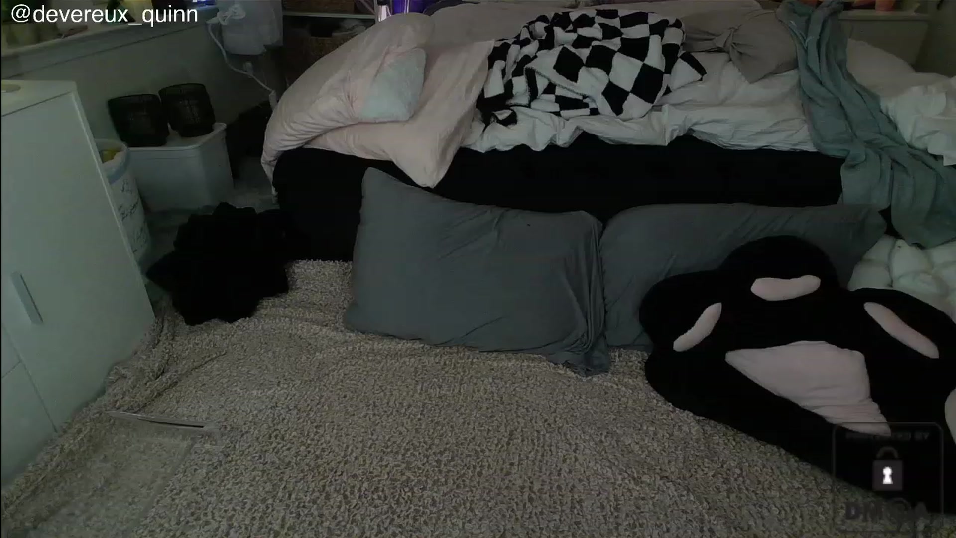Gallery image thumbnail from Devereuxquinn's myfreecams stream on, 07/22/2023, 09:16 image 9 of 20