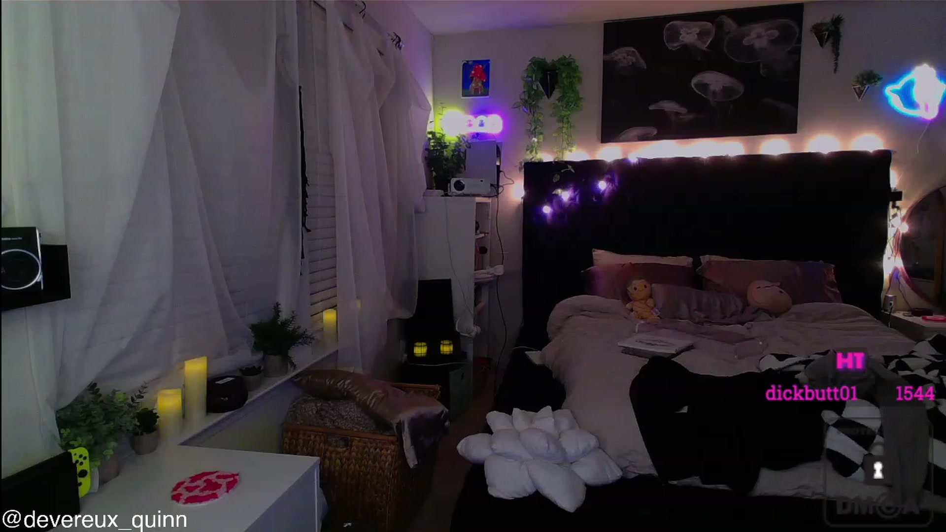 Gallery image thumbnail from Devereuxquinn's myfreecams stream on, 08/01/2023, 05:19 image 12 of 20