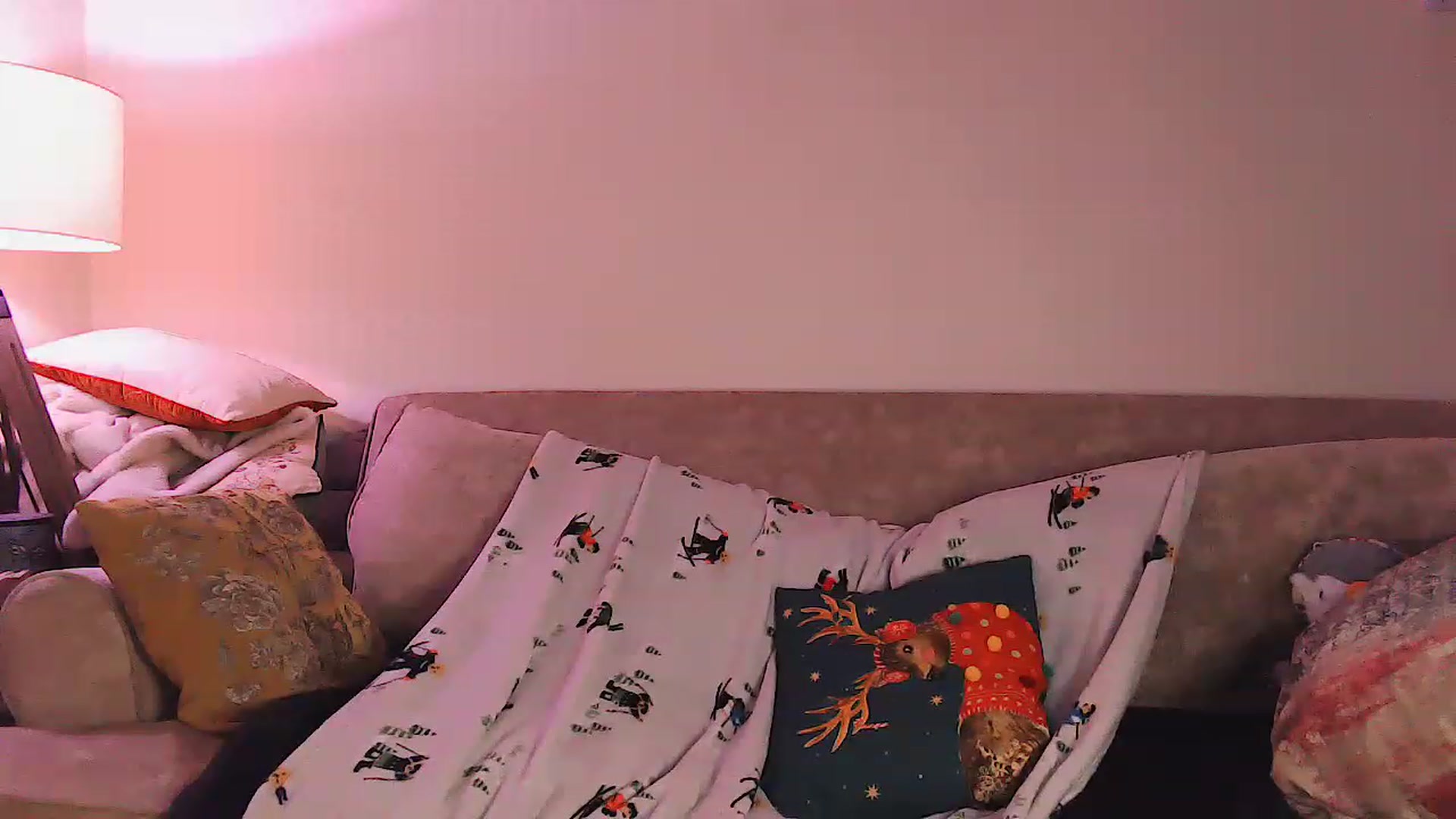 Gallery image thumbnail from DevilDoll_x's myfreecams stream on, 12/12/2022, 08:02 image 14 of 20