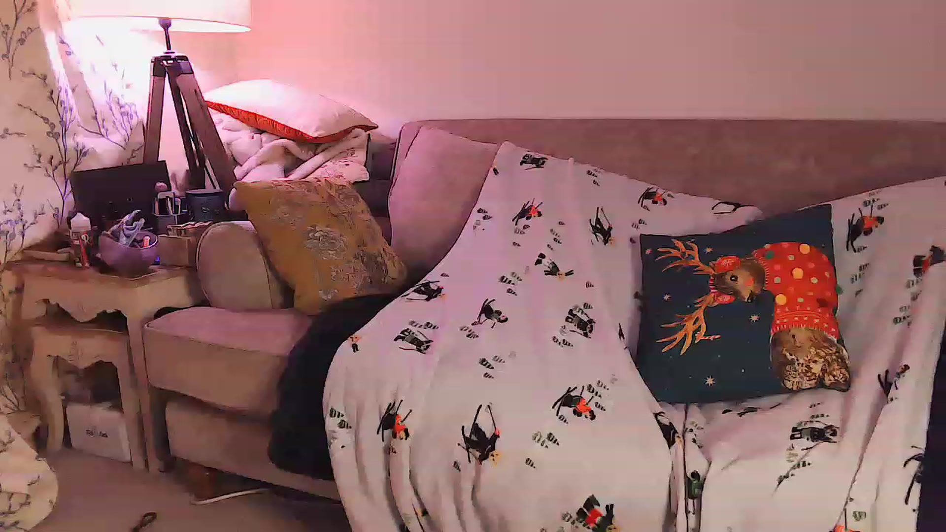 Gallery image thumbnail from DevilDoll_x's myfreecams stream on, 12/12/2022, 09:47 image 6 of 20