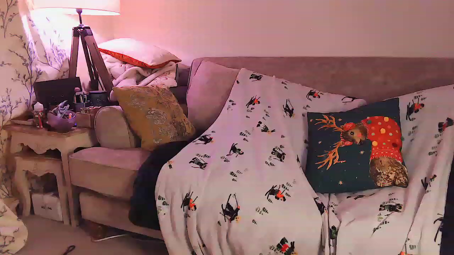 Gallery image thumbnail from DevilDoll_x's myfreecams stream on, 12/12/2022, 09:47 image 5 of 20