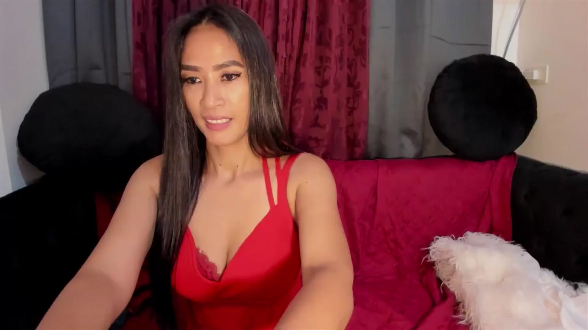 Gallery image thumbnail from DevilTeaser's myfreecams stream on, 06/19/2024, 05:00 image 15 of 20