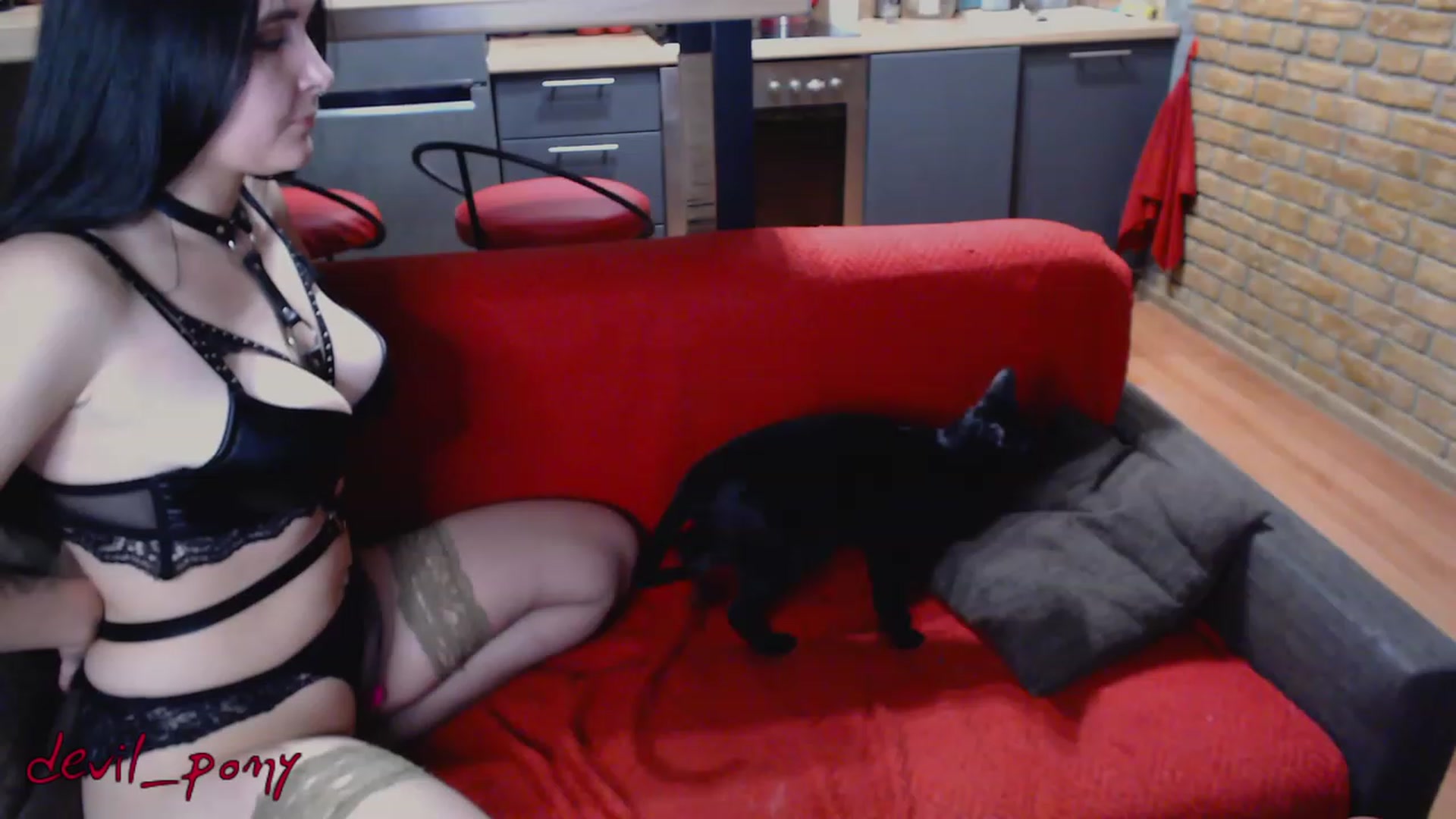 Gallery image thumbnail from Devil_pony's myfreecams stream on, 03/09/2023, 16:55 image 16 of 20