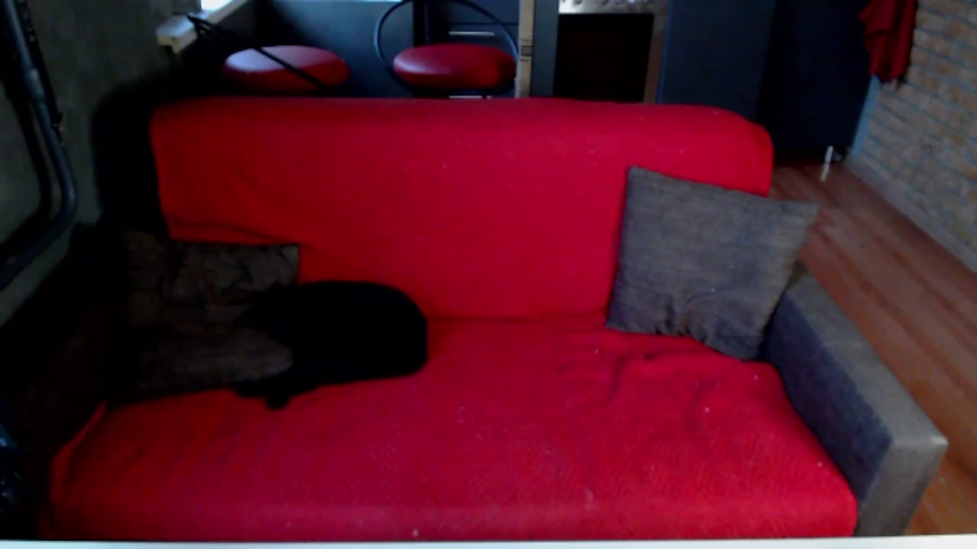 Gallery image thumbnail from Devil_pony's myfreecams stream on, 11/08/2023, 12:36 image 13 of 20