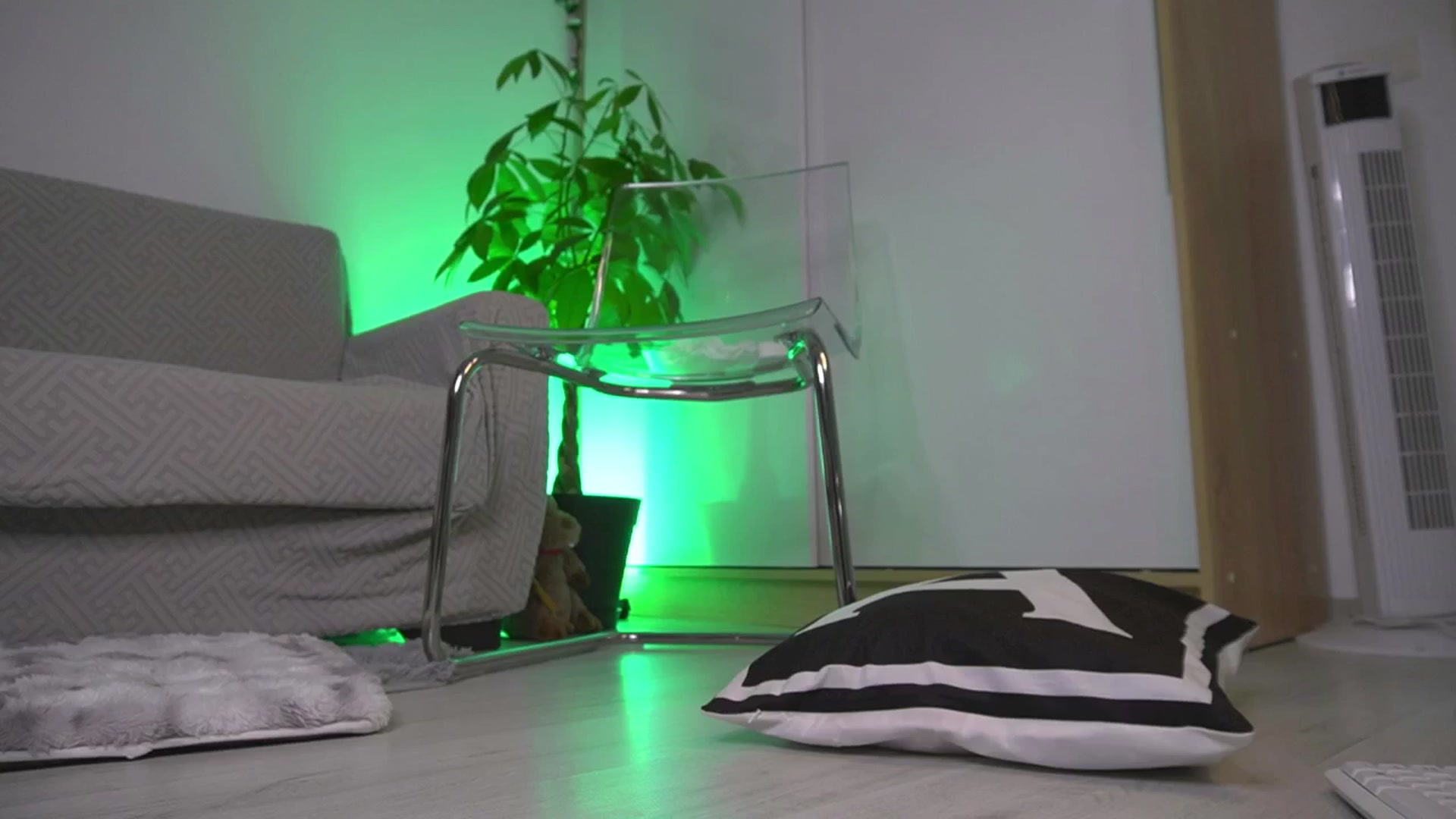 Gallery image thumbnail from Diaaa's myfreecams stream on, 11/15/2025, 13:37 image 10 of 20