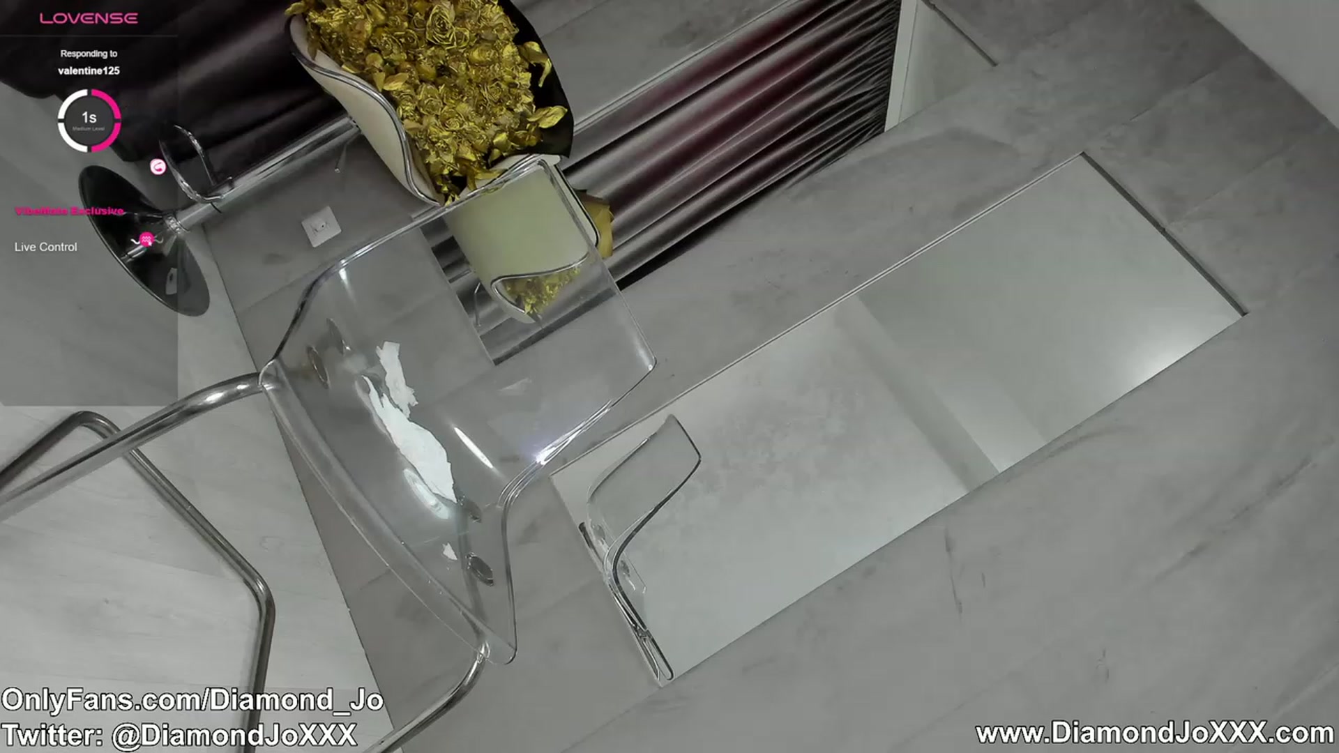 Gallery image thumbnail from DiamondJo_'s myfreecams stream on, 11/16/2023, 12:11 image 9 of 20