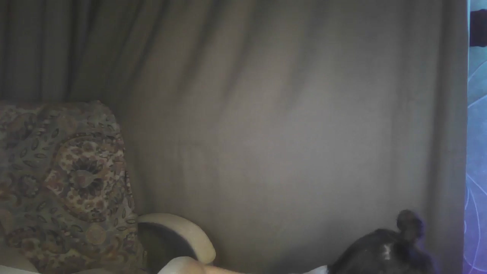Gallery image thumbnail from Diana_Bloo's myfreecams stream on, 12/03/2025, 14:55 image 2 of 20
