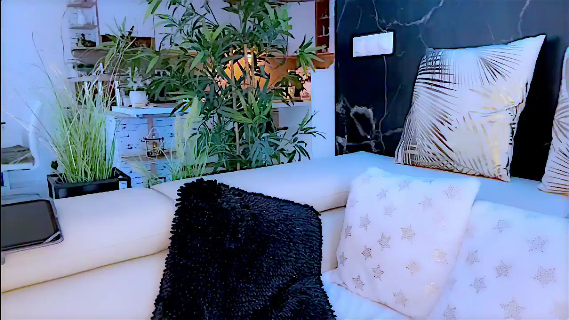 Gallery image thumbnail from Diana_Doll's myfreecams stream on, 06/15/2024, 15:18 image 5 of 20