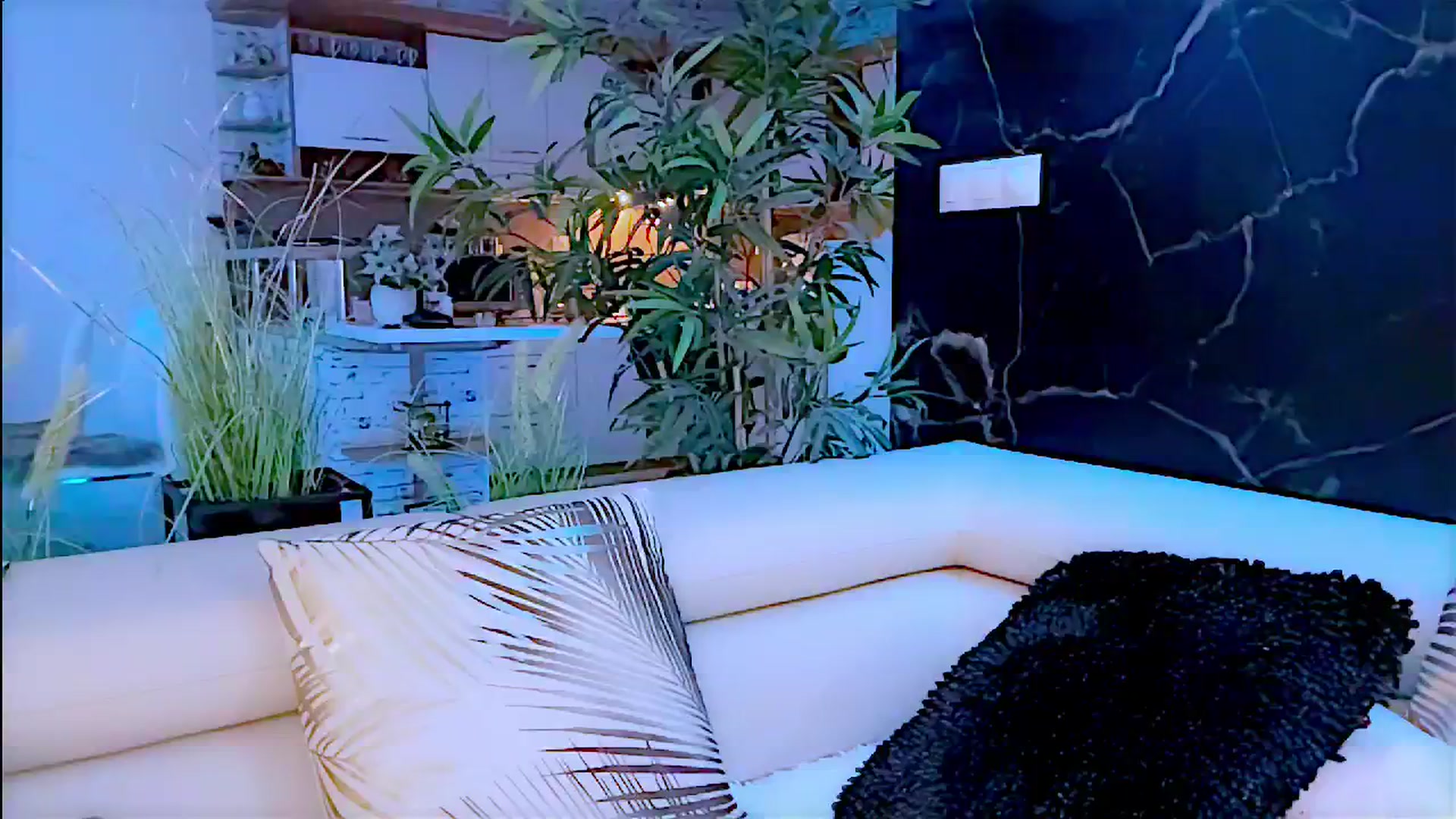 Gallery image thumbnail from Diana_Doll's myfreecams stream on, 07/13/2024, 22:09 image 3 of 20