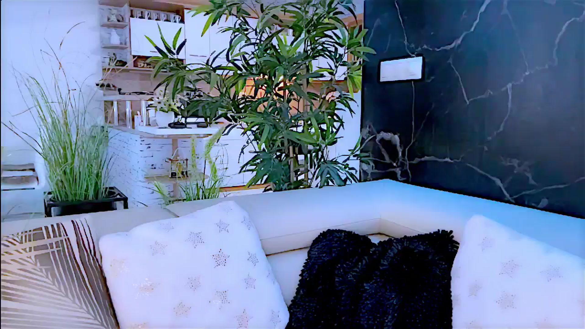 Gallery image thumbnail from Diana_Doll's myfreecams stream on, 07/14/2024, 13:07 image 15 of 20