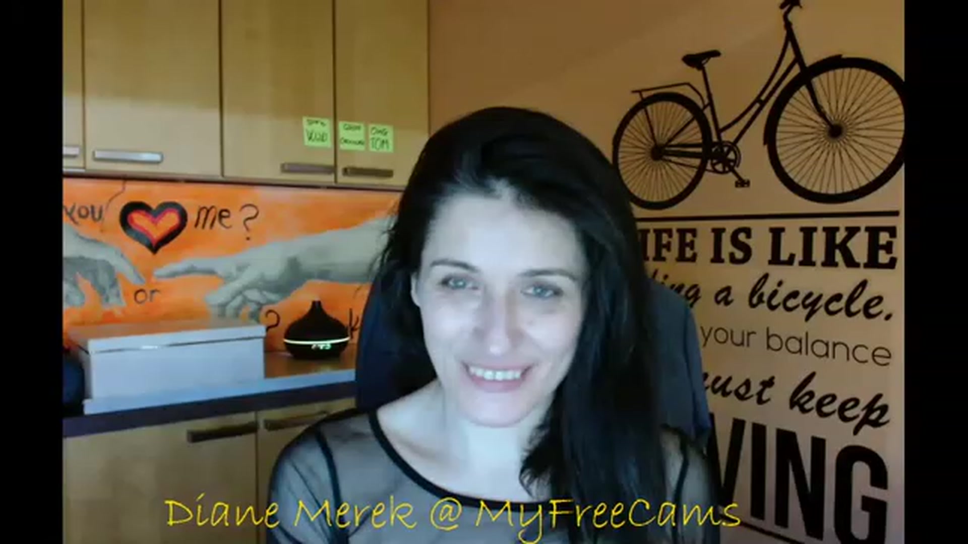 Gallery image thumbnail from DianneMerek's myfreecams stream on, 11/17/2022, 13:24 image 4 of 20