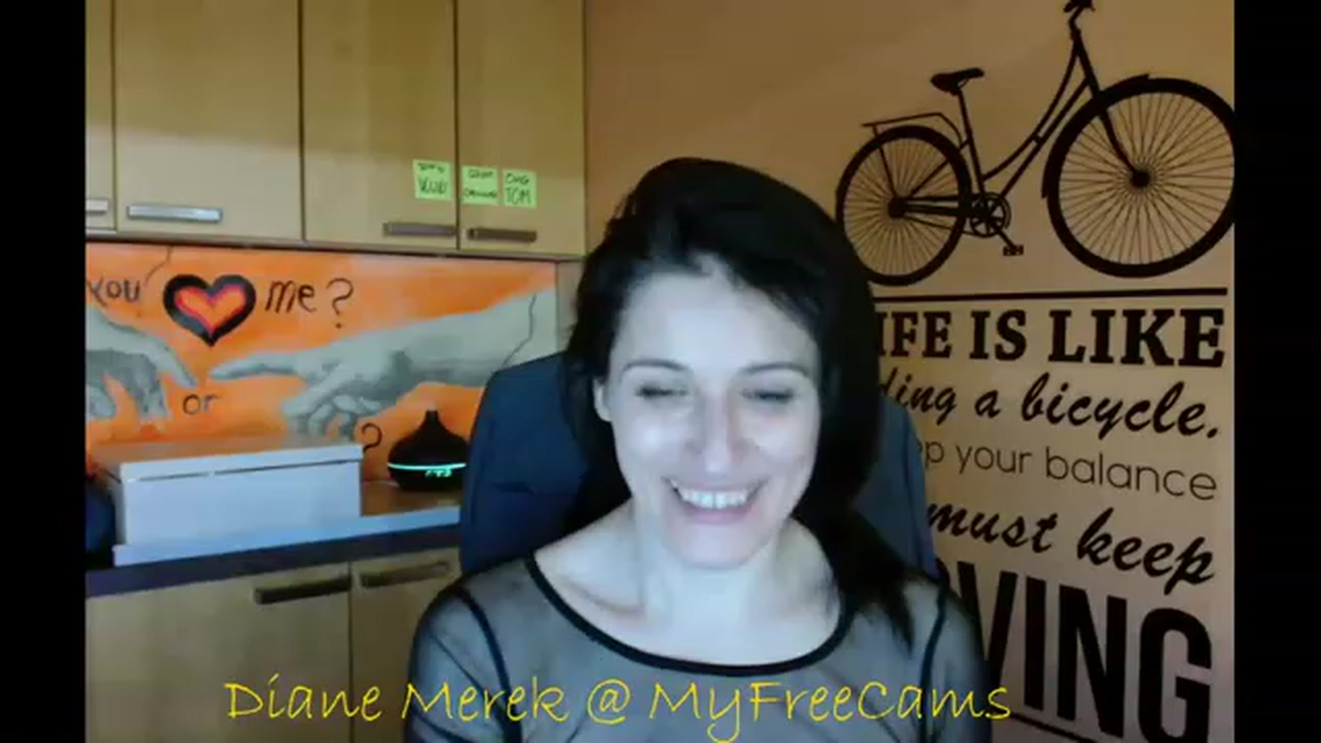 Gallery image thumbnail from DianneMerek's myfreecams stream on, 11/17/2022, 13:24 image 6 of 20