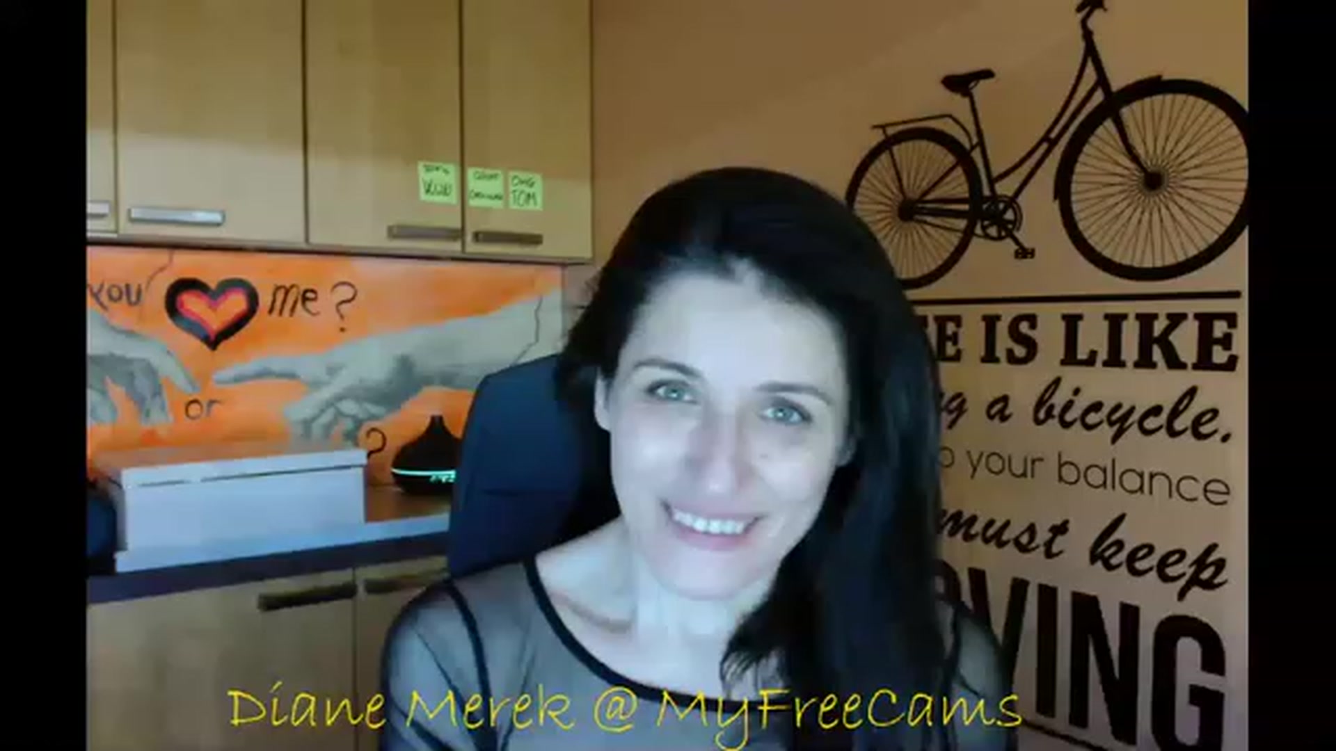 Gallery image thumbnail from DianneMerek's myfreecams stream on, 11/17/2022, 13:24 image 1 of 20