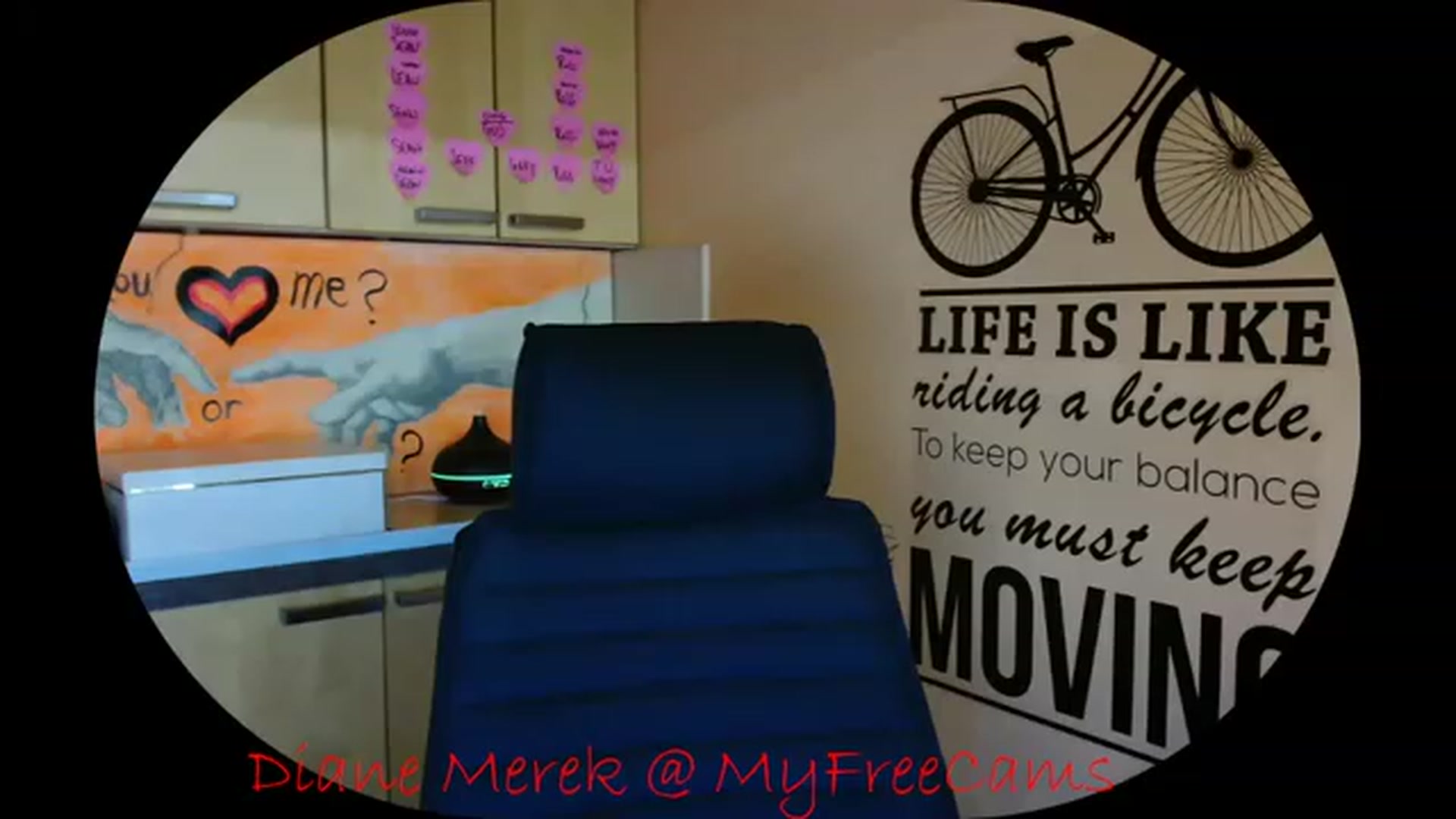 Gallery image thumbnail from DianneMerek's myfreecams stream on, 11/19/2022, 11:40 image 18 of 20