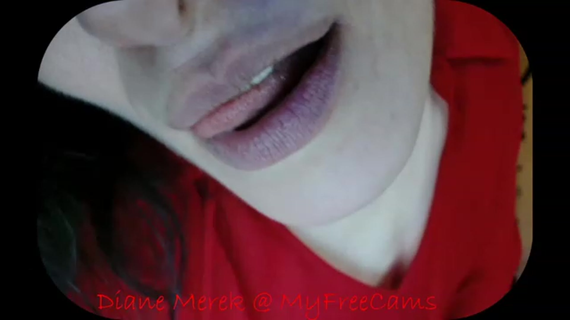Gallery image thumbnail from DianneMerek's myfreecams stream on, 11/22/2022, 07:29 image 13 of 20