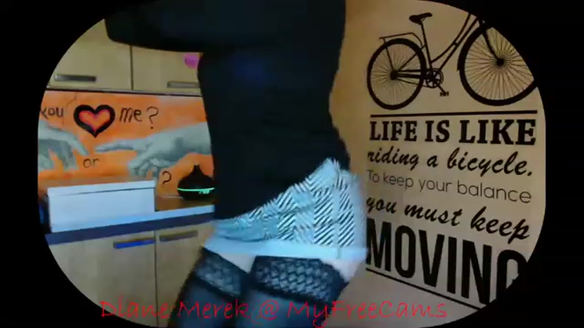 Gallery image thumbnail from DianneMerek's myfreecams stream on, 11/24/2022, 07:24 image 13 of 20