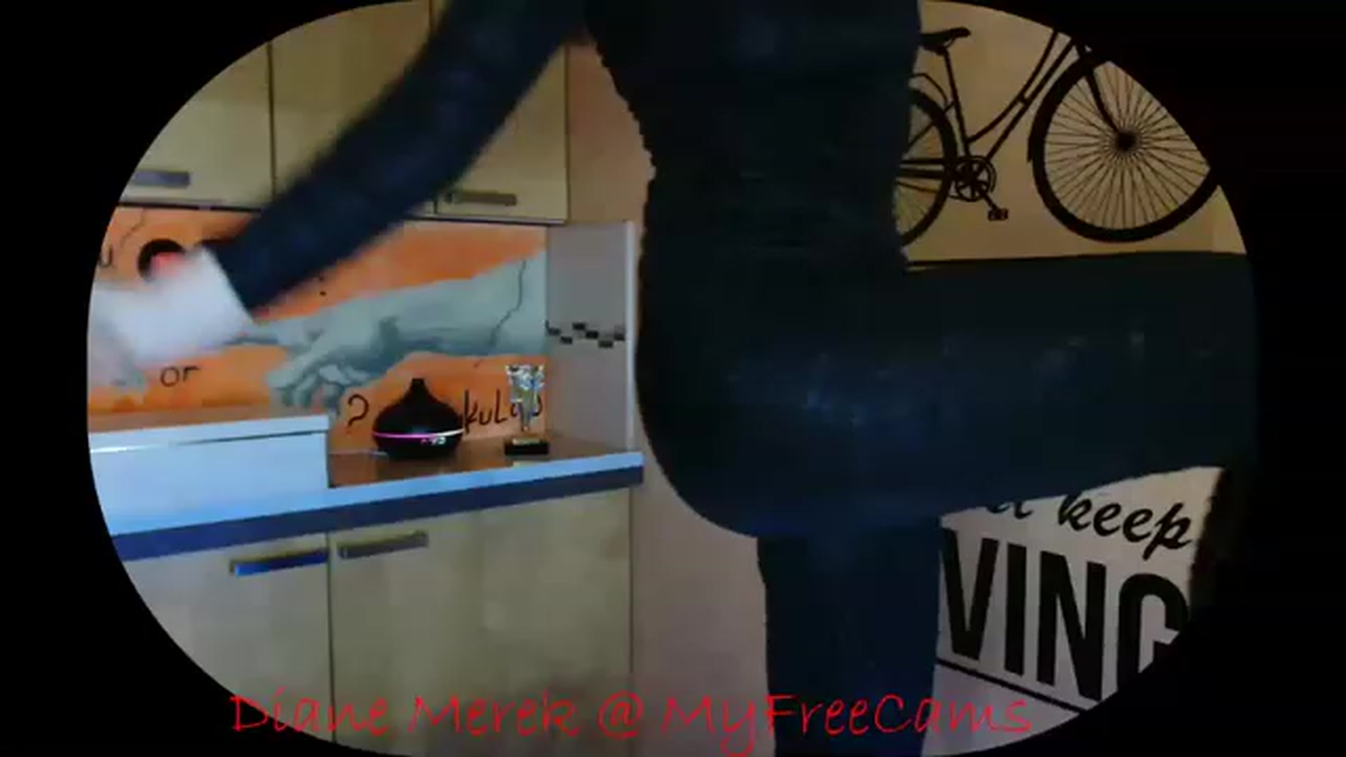 Gallery image thumbnail from DianneMerek's myfreecams stream on, 12/01/2022, 24:03 image 10 of 20