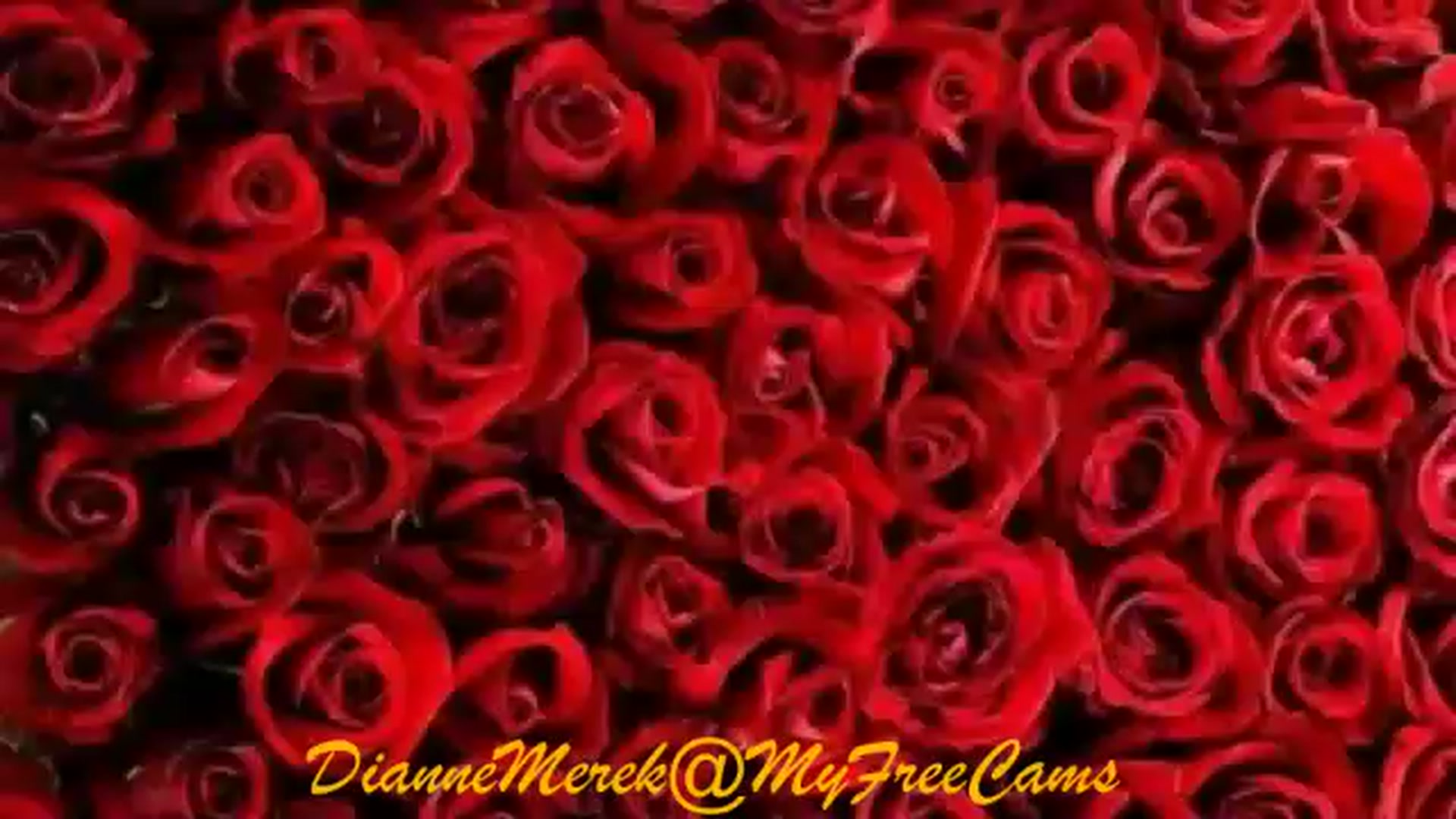 Gallery image thumbnail from DianneMerek's myfreecams stream on, 12/09/2022, 11:16 image 12 of 20
