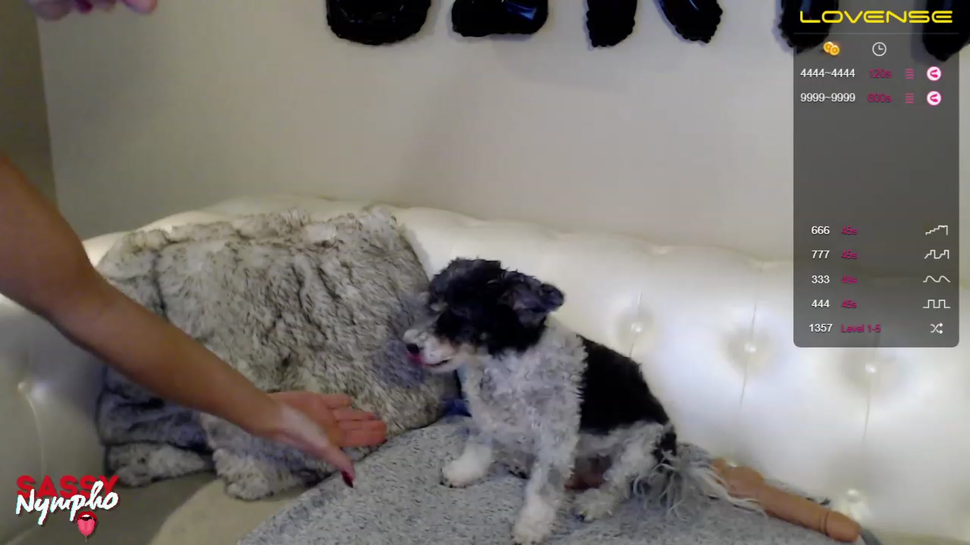 Gallery image thumbnail from Dick_Kicker's myfreecams stream on, 02/11/2023, 19:57 image 10 of 20