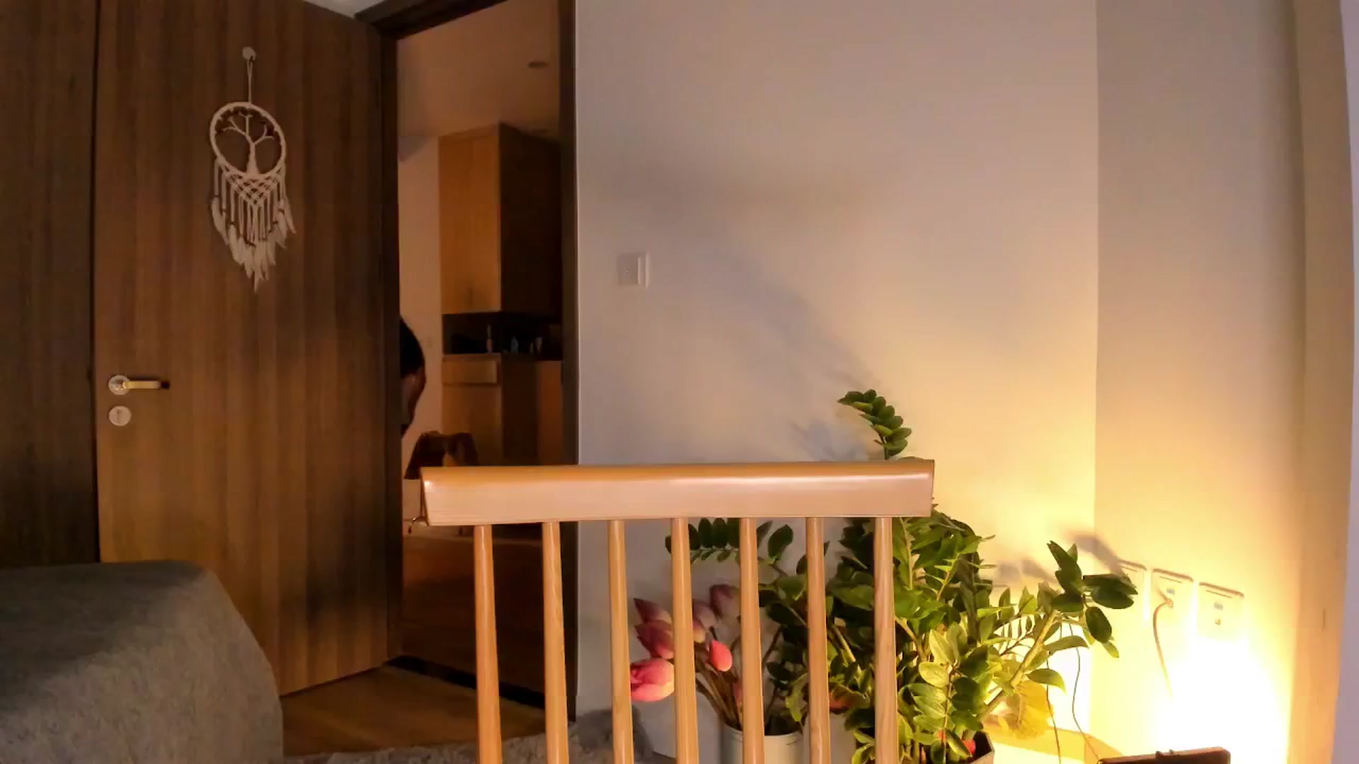 Gallery image thumbnail from Didi_kawaii's myfreecams stream on, 06/27/2025, 14:55 image 14 of 20