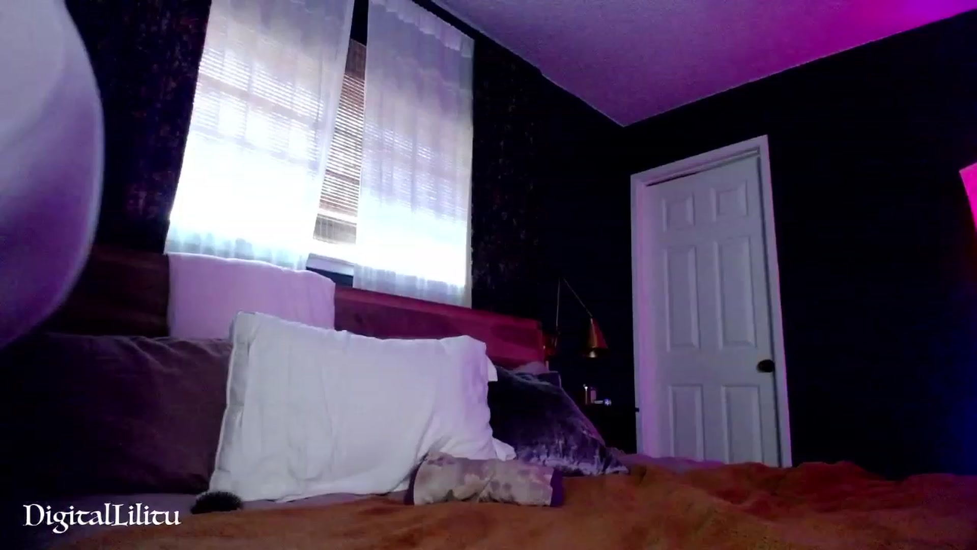 Gallery image thumbnail from DigitalLilitu's myfreecams stream on, 06/29/2023, 24:49 image 13 of 20