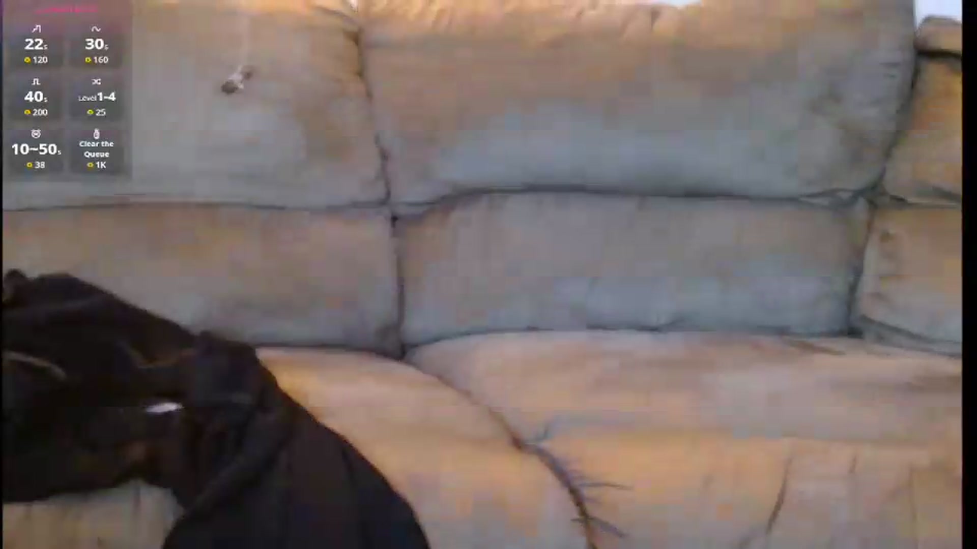 Gallery image thumbnail from Dilfhunter's myfreecams stream on, 07/12/2026, 18:25 image 14 of 20