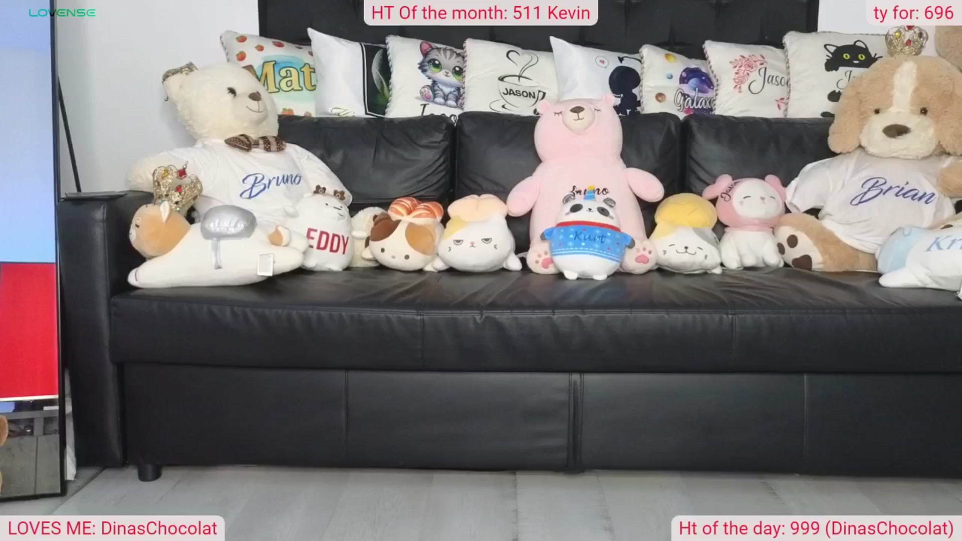 Gallery image thumbnail from DinasLibrary's myfreecams stream on, 09/02/2024, 04:06 image 10 of 20