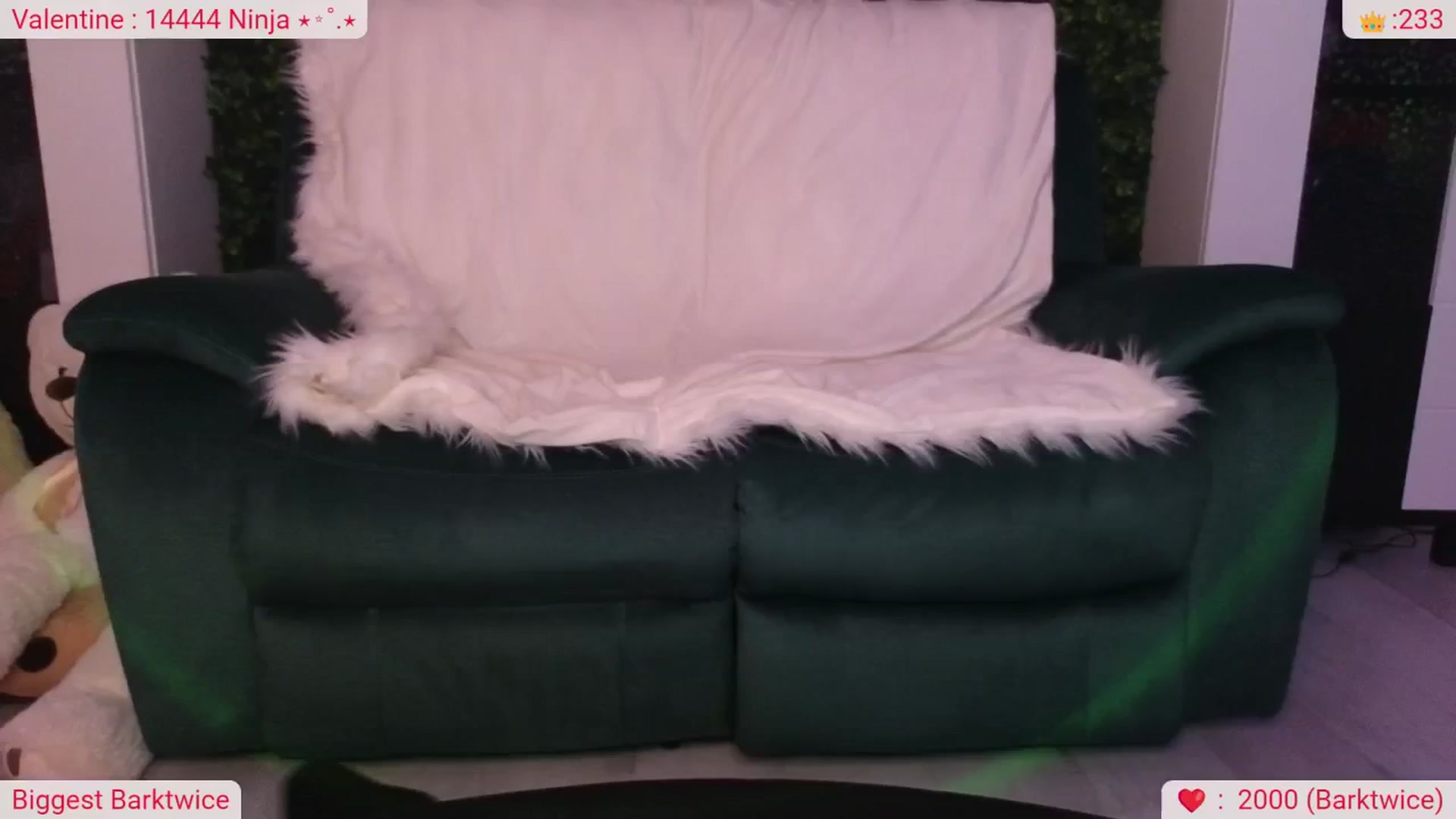 Gallery image thumbnail from DinasLibrary's myfreecams stream on, 02/20/2026, 08:55 image 19 of 20