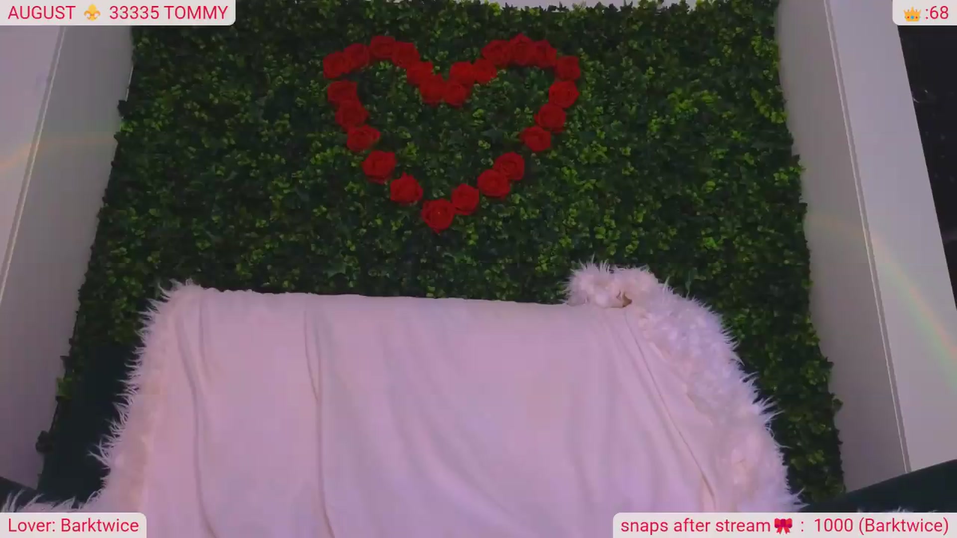Gallery image thumbnail from DinasLibrary's myfreecams stream on, 08/28/2026, 07:23 image 11 of 20