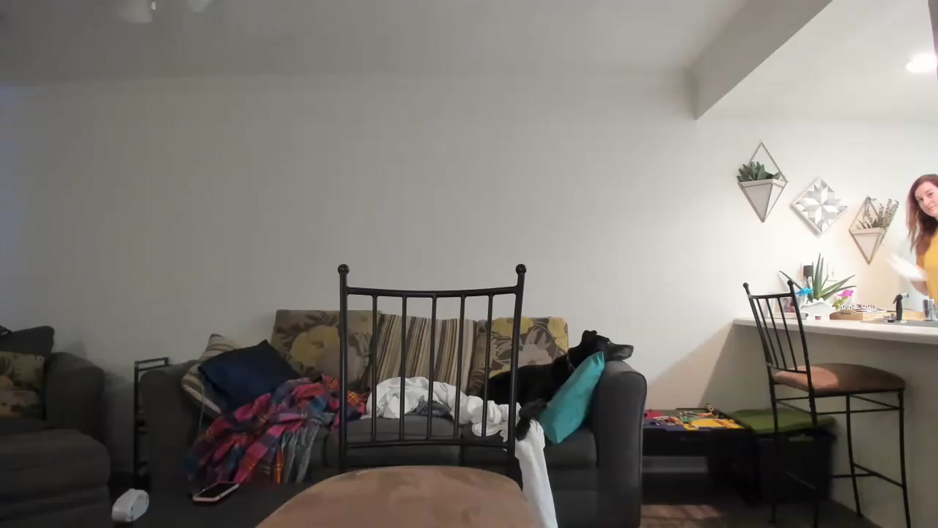 Gallery image thumbnail from DinoDarling's myfreecams stream on, 11/23/2022, 17:37 image 20 of 20