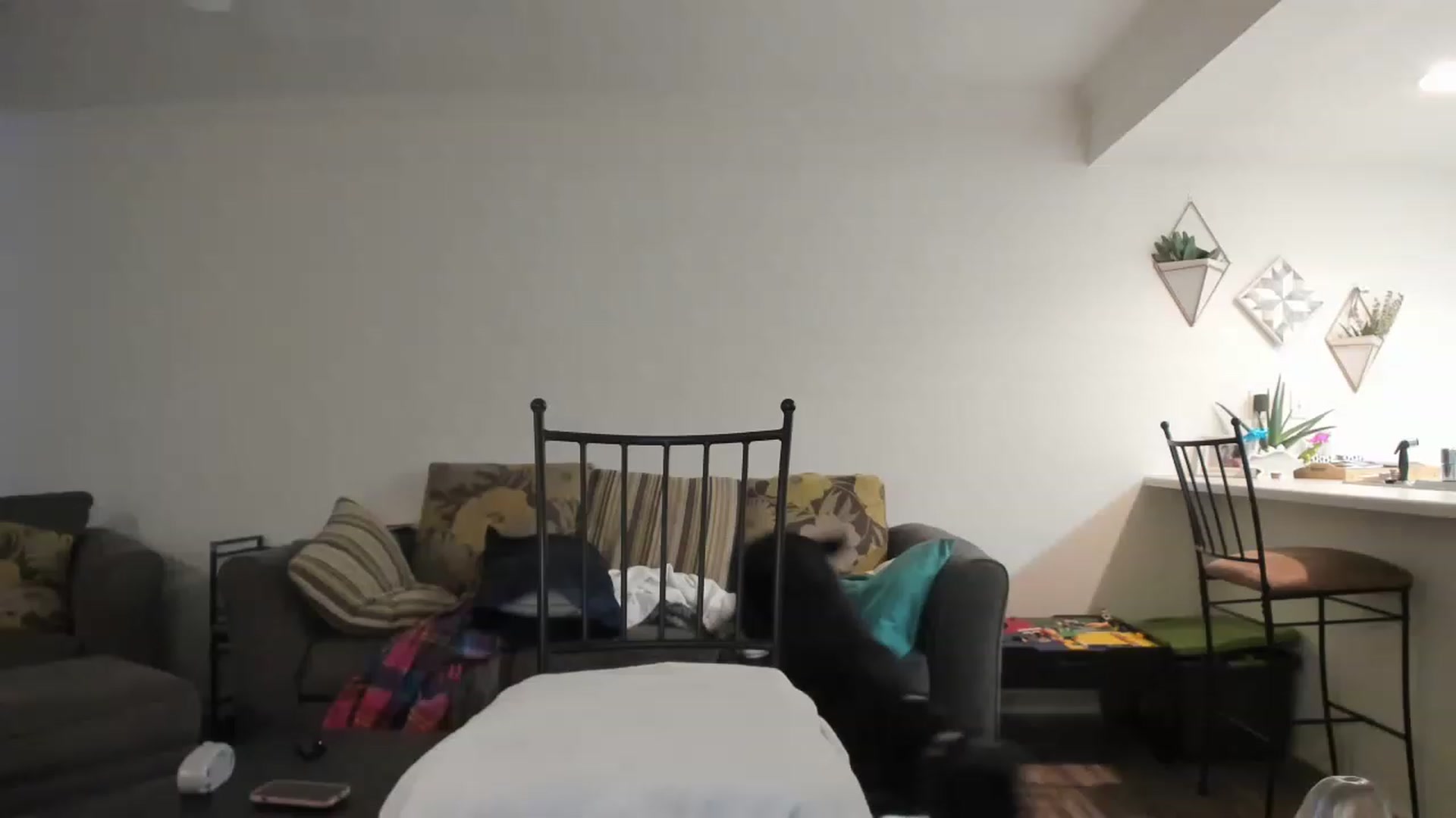 Gallery image thumbnail from DinoDarling's myfreecams stream on, 11/23/2022, 18:44 image 16 of 20