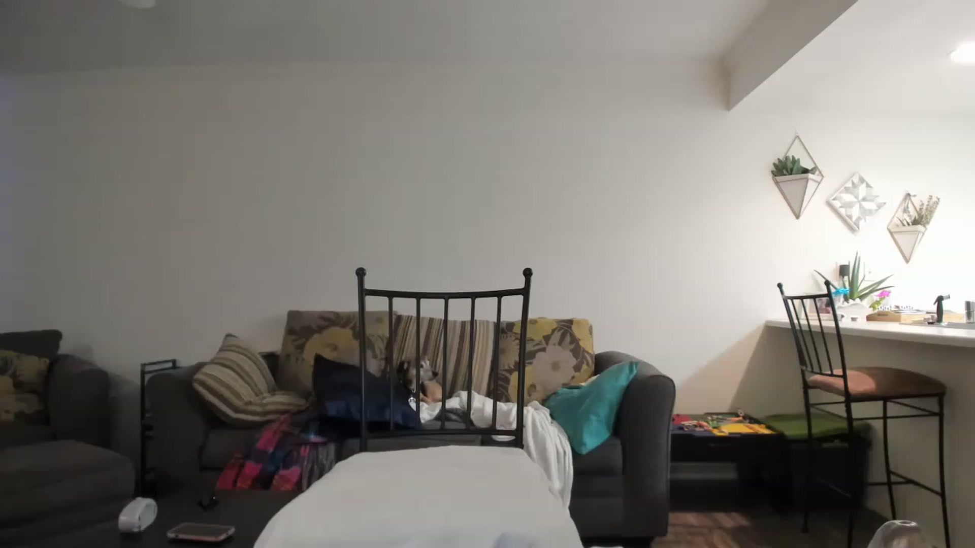 Gallery image thumbnail from DinoDarling's myfreecams stream on, 11/23/2022, 18:44 image 20 of 20