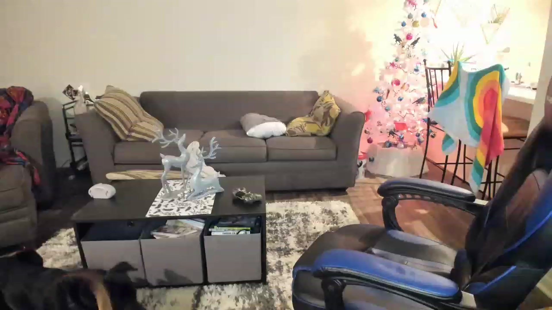 Gallery image thumbnail from DinoDarling's myfreecams stream on, 11/29/2022, 03:49 image 15 of 20