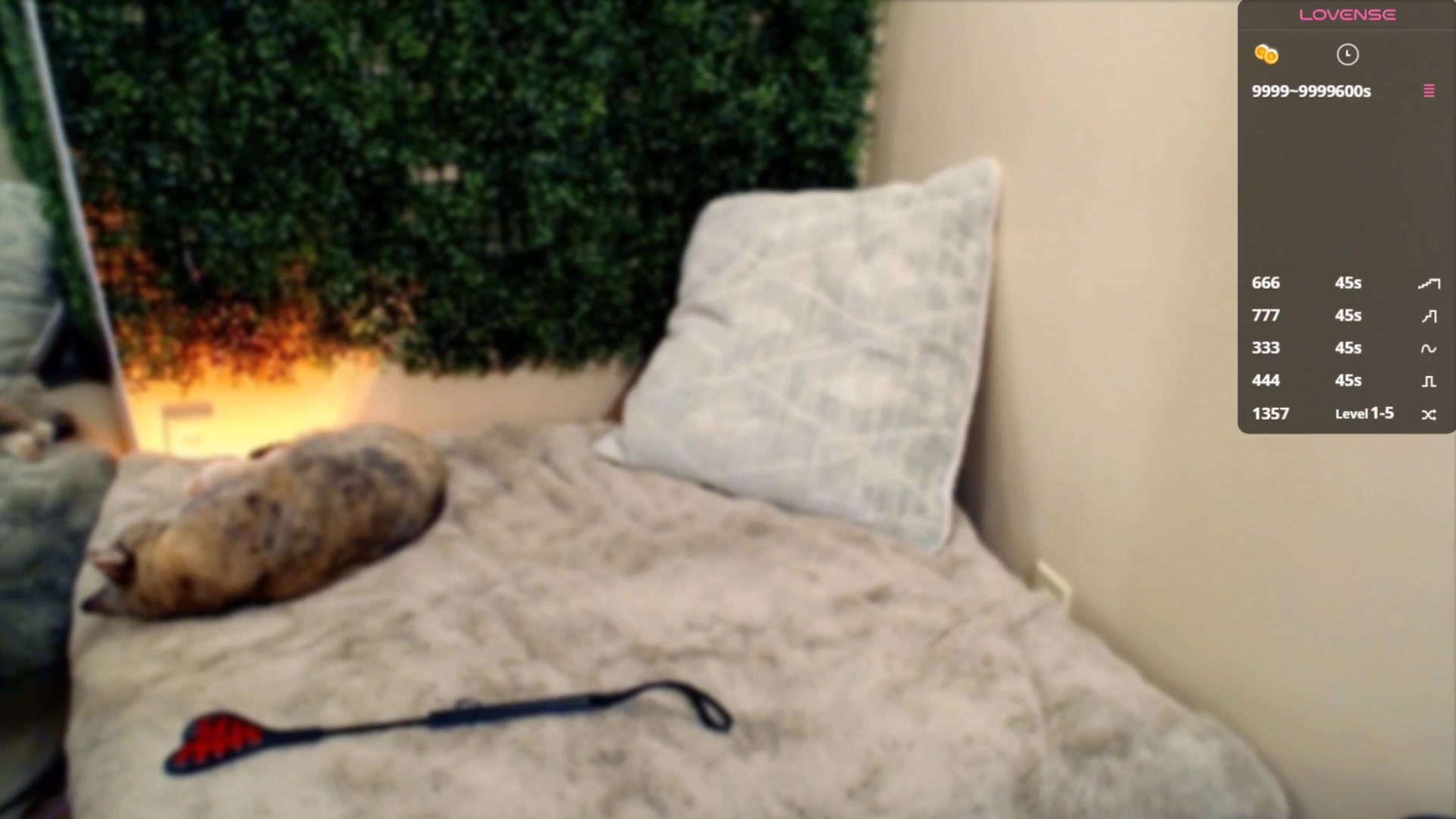 Gallery image thumbnail from Divine_Honey's myfreecams stream on, 07/27/2025, 05:18 image 14 of 20