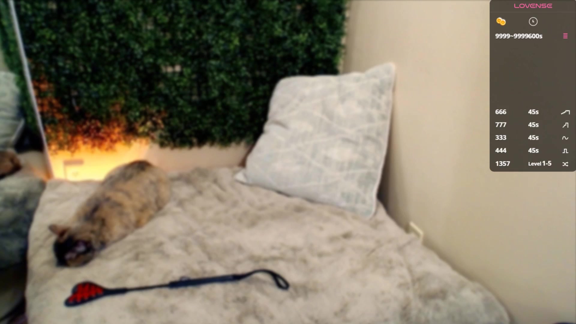 Gallery image thumbnail from Divine_Honey's myfreecams stream on, 07/27/2025, 05:18 image 12 of 20