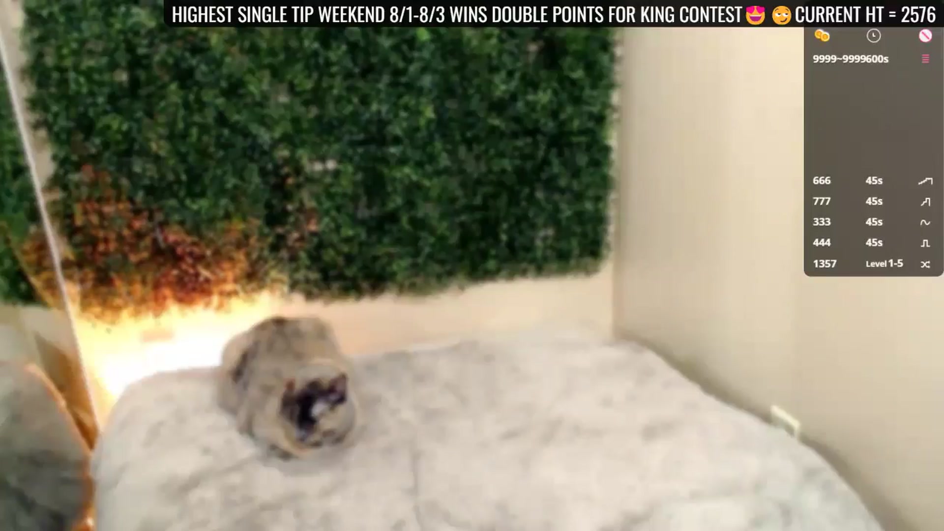 Gallery image thumbnail from Divine_Honey's myfreecams stream on, 08/02/2025, 20:47 image 14 of 20