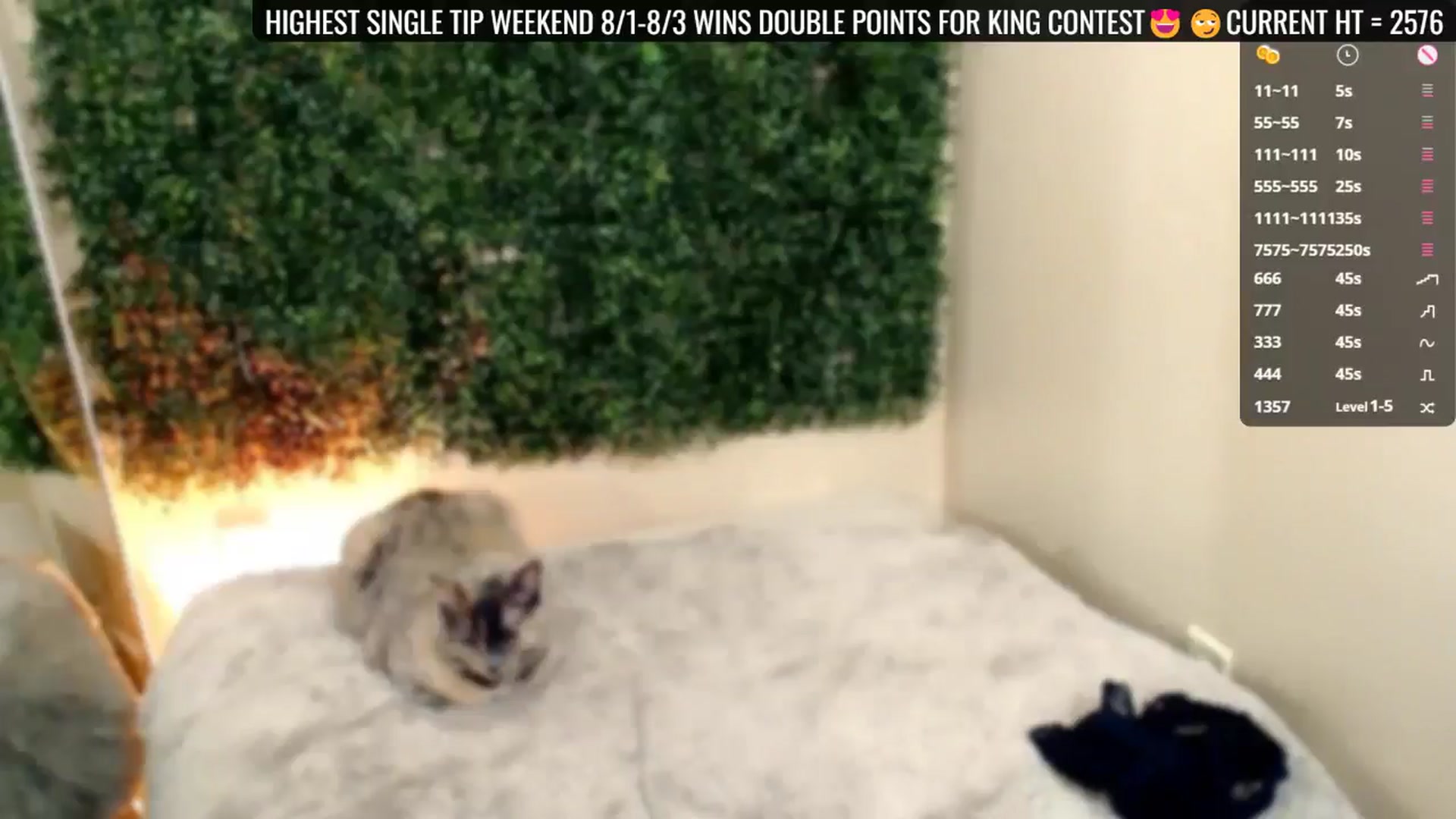Gallery image thumbnail from Divine_Honey's myfreecams stream on, 08/02/2025, 20:47 image 15 of 20