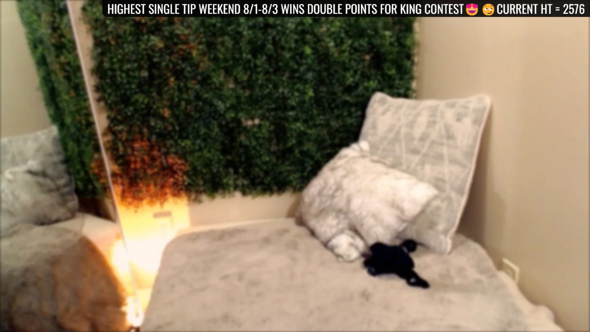 Gallery image thumbnail from Divine_Honey's myfreecams stream on, 08/02/2025, 23:29 image 1 of 20