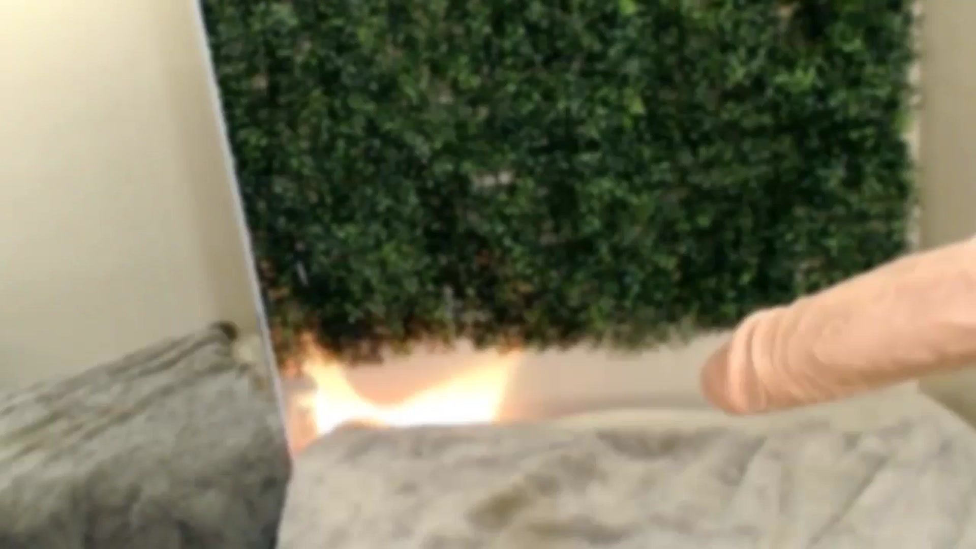 Gallery image thumbnail from Divine_Honey's myfreecams stream on, 08/10/2025, 03:24 image 16 of 20