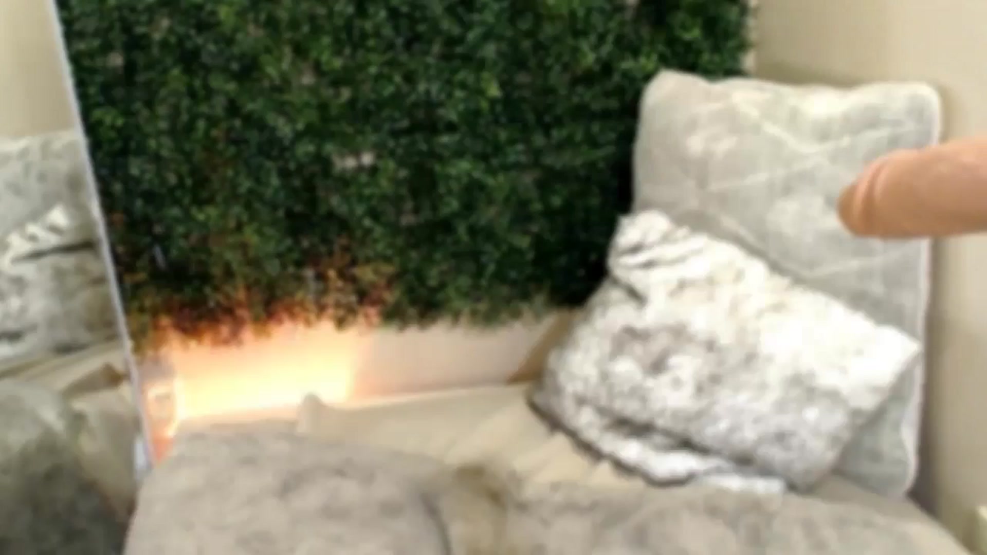 Gallery image thumbnail from Divine_Honey's myfreecams stream on, 08/10/2025, 06:26 image 16 of 20