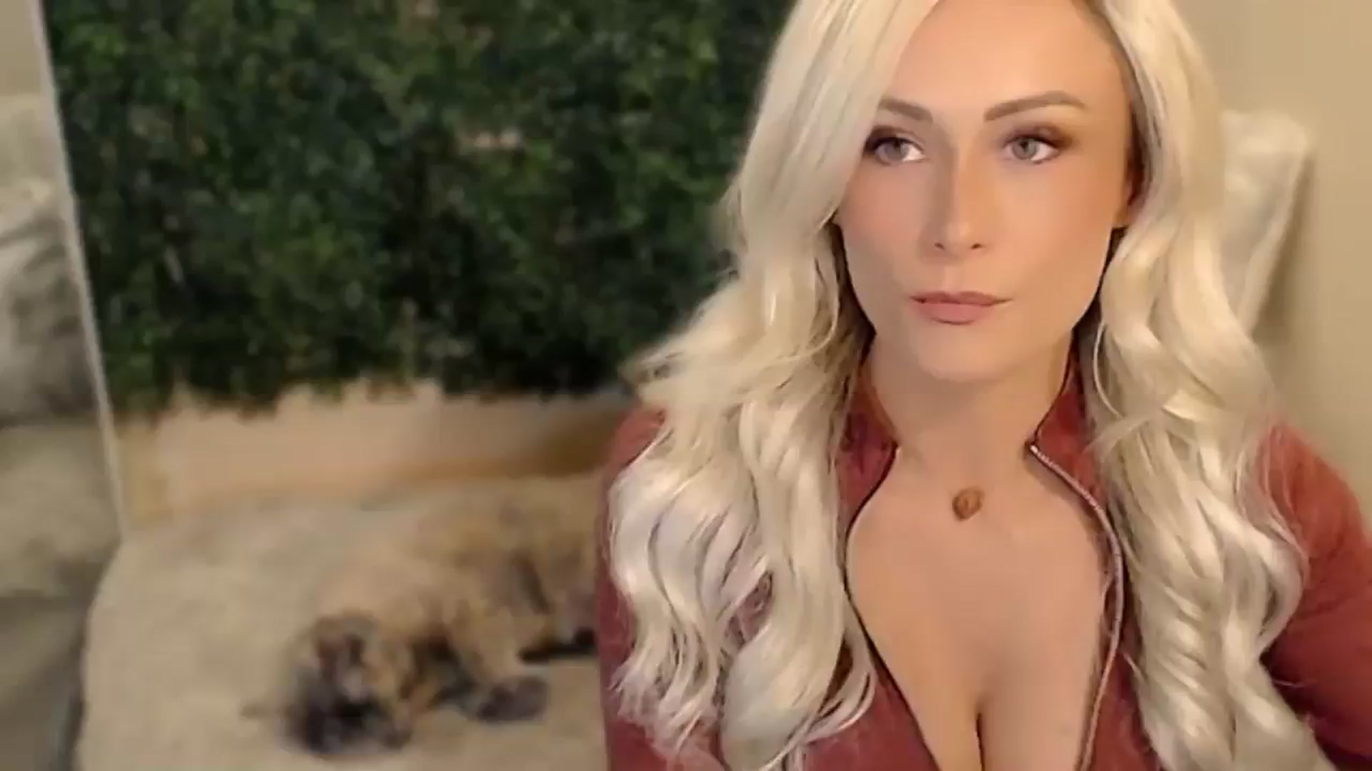 Gallery image thumbnail from Divine_Honey's myfreecams stream on, 08/16/2025, 13:52 image 12 of 20